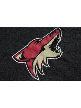 Arizona Coyotes Old Time Hockey T-Shirt M Gray Shirt NHL Phoenix